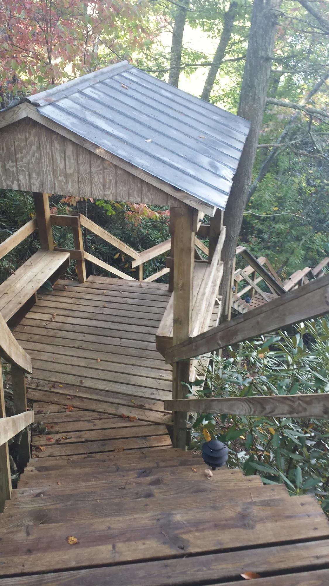 Metal roofed shelter over wooden steps on a wooded walkway — Skylight Repair & Installation work by our crew in Rocky Face